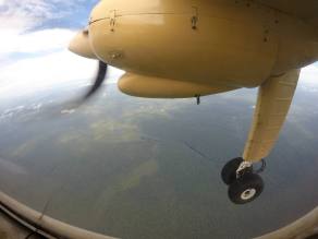 10668662_10202755689435795_5486999027602515749_o