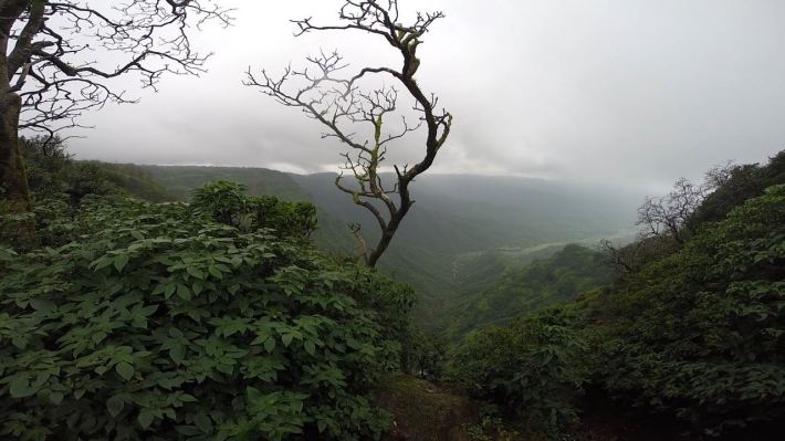 11807618_10204811493629615_5311793353615480896_o